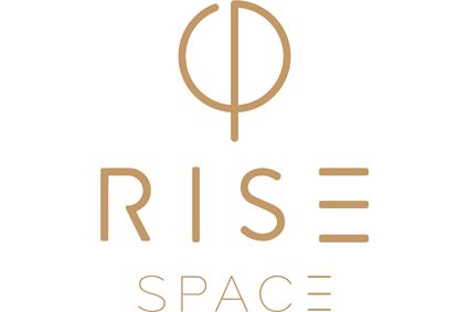 Rise Space Ltd logo